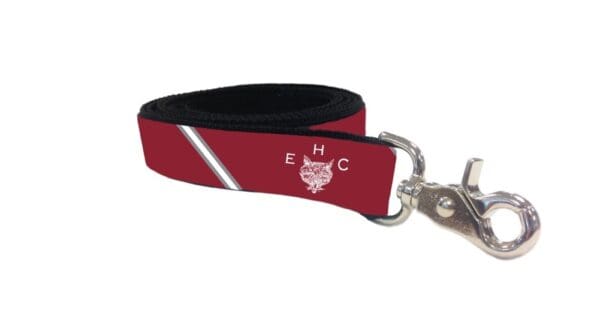 Maroon lanyard with metal clasp and logo.