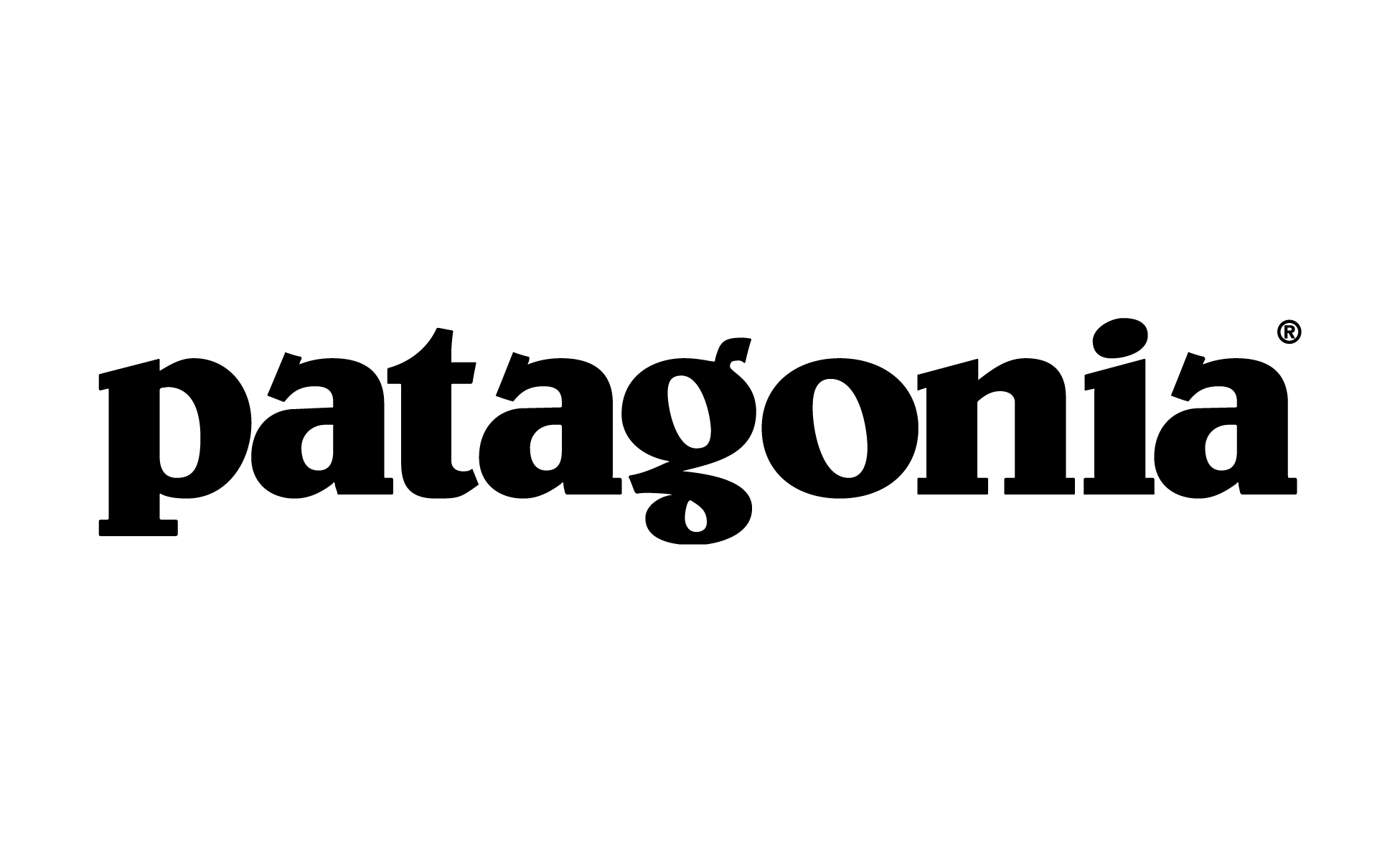 A green background with the word patagonia written in black.